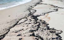 Gần 3km bờ biển Quảng Bình bất ngờ xuất hiện vệt dầu lạ
