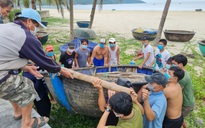 Miền Trung: Ngư dân hối hả kéo tàu, thuyền lên bờ, chạy đua gặt lúa tránh bão số 5