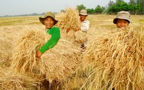 TỌA ĐÀM “TÌM GIẢI PHÁP TIÊU THỤ NÔNG SẢN: TRƯỚC MẮT VÀ LÂU DÀI”: Phát triển tam giác nhà nước - thị trường - xã hội