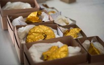 Dò kim loại, phát hiện kho báu vàng lớn nhất đất nước