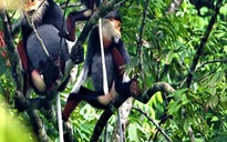 "Viên ngọc quý" Động Châu - khe Nước Trong