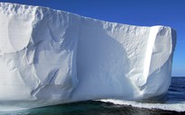 Đào được ADN "sinh vật ma" 1 triệu tuổi ở Nam Cực