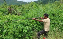 Hy hữu người săn thú bắn chết người bẫy gà