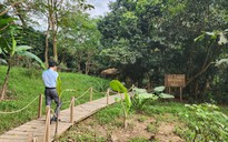 Cận cảnh "thánh địa" Ozo Park lấn chiếm hơn 3,6ha rừng phòng hộ Phong Nha - Kẻ Bàng