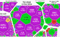 Cổ phiếu hôm nay 16-11: Tiền lớn đổ vào chứng khoán, kéo gần 290 mã tăng trần