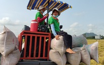 Băn khoăn quản lý nhập khẩu gạo