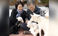 Cựu tổng thống Hàn Quốc muốn trả lại chó do ông Kim Jong-un tặng