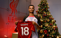 Liverpool "cướp" Cody Gakpo, Man United vuột chữ ký sao Hà Lan
