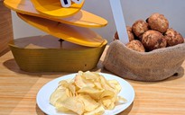 Trồng khoai tây làm snack, nông dân lãi đến 100 triệu đồng/ha