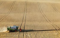 Động thái mới của Nga về ngũ cốc nhằm đối phó "hạn chế từ bên ngoài"