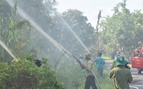 Chủ động phòng chống cháy rừng