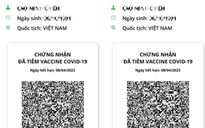 Gần nửa triệu người đã có hộ chiếu vắc-xin, làm thế nào để biết mình được cấp hay chưa?