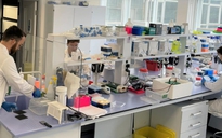 Đột phá mới về thuốc trị sa sút trí tuệ