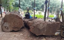 Tiếp tục gay cấn vụ đào được gỗ dưới lòng đất ở Kon Tum