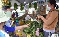 VIDEO: Độc đáo chợ trái cây “Trên bến dưới thuyền” ngay tại TP HCM