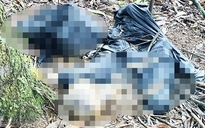 Đà Lạt: Phát hiện thi thể nam giới đang phân hủy trong rừng