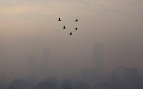 Ô nhiễm không khí rút ngắn tuổi thọ dân số thế giới