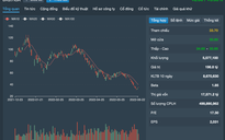 Đến lượt Phó Chủ tịch HĐQT DIG ra tay đỡ giá cổ phiếu
