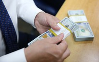 Giá USD và Euro biến động trái chiều, chuyện chưa từng có 20 năm nay