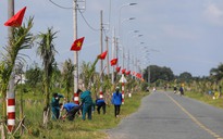 Cờ Tổ quốc sáng bừng những con đường