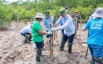 Trợ lý Tổng Thư ký Liên Hiệp Quốc lội bùn trồng rừng tại Thanh Hóa