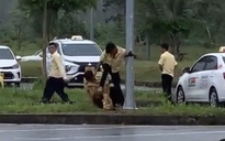 Sa thải nhóm tài xế taxi đánh đồng nghiệp tại sân bay Phú Quốc