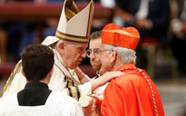 Giáo hoàng tấn phong 20 hồng y mới, 16 người đủ tiêu chí tham dự mật nghị hồng y