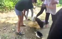 Nữ sinh lại bị đánh, lột đồ ở Đồng Nai