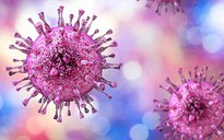 Chấn động: Khối u ung thư biến mất nhờ... tiêm virus bệnh tình dục