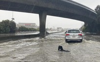 "Dòng sông trên trời" tấn công, California thành biển nước và tuyết