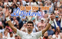 Cơ hội cho “mèo” Djokovic trong năm Mão