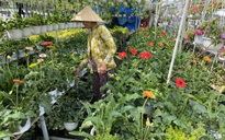 Khách tham quan bất ngờ vì giá hoa Tết tại làng hoa Sa Đéc quá rẻ
