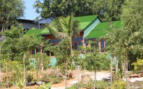 Chuyển Cơ quan Điều tra vụ xâm phạm thắng cảnh Đồi cát bay Mũi Né