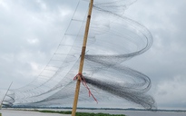 CLIP: Hình ảnh đau nhói bên "ma trận" tận diệt chim trời ở Quảng Trị