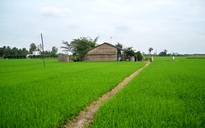 Khi viết về vùng đất quê tôi