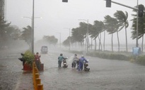 Thừa Thiên-Huế, Đà Nẵng, Quảng Nam có nơi mưa trên 800 mm
