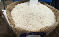 Nghịch lý: Giá gạo xuất khẩu tăng nhưng dân buôn gạo đặc sản lại than trời