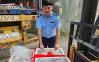 Bắt ôtô chở 4,5 tấn cá khoai có chứa formol