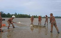 Malaysia: Bắn hạ hàng loạt cá sấu sau khi nhiều người mất tích