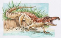 Ấn Độ: Phát hiện "quái vật Tây Bengal" giống T-rex lai cá sấu