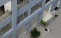 Một nữ sinh tử vong vì rơi từ tầng 8 chung cư ở Nha Trang