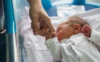 Phát hiện lý do trẻ sơ sinh “bất khả xâm phạm” trước COVID-19