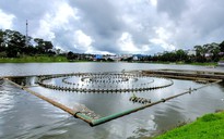 Hệ thống nhạc nước ở hồ Xuân Hương sắp được giải cứu