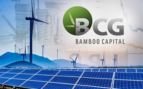 Lãnh đạo Bamboo Capital "chốt lời" thành công 3 triệu cổ phiếu