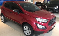 Vì sao nhà phân phối xe Ford ở Việt Nam muốn tăng vốn lên 1.000 tỉ đồng?