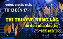 Infographic: Chứng khoán tuần tới 13 đến 17-11: Thị trường rung lắc để đón nhà đầu tư “lên tàu”?