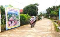 Nhiều giải pháp trọng tâm để xây dựng nông thôn mới ở Quảng Trị
