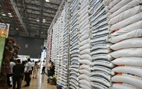 Các ông lớn ngành gạo làm ăn ra sao trong cơn sốt giá gạo?