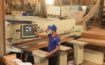 Thu nhập bình quân NLĐ đạt trên 9 triệu đồng/người/tháng