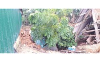 Điều tra nguyên nhân sụt lún đất bất thường tại Hà Tĩnh